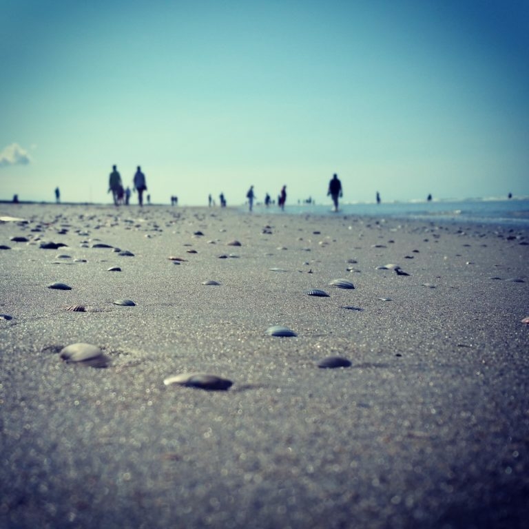 Strandwanderung-2-768x768 Strandwanderung-2-768x768